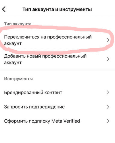 Настройка бизнес-аккаунта: «Переключиться на профессиональный аккаунт